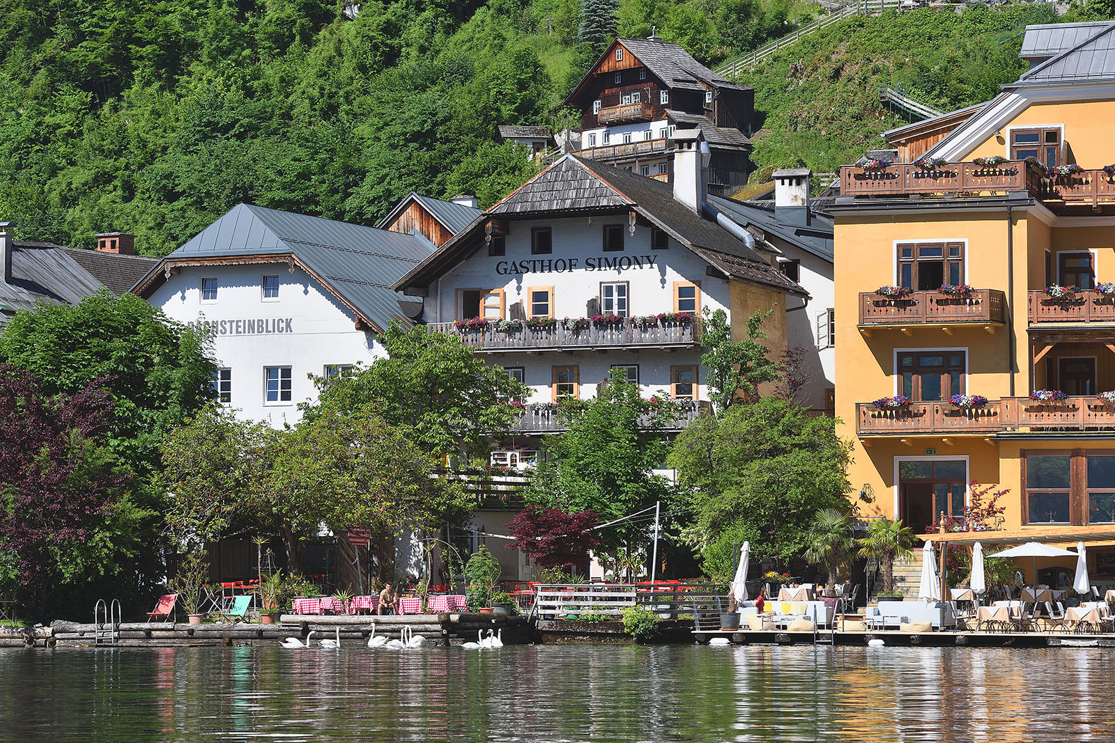 Gasthof Simony and its lakeside garden viewed from Lake Hallstatt